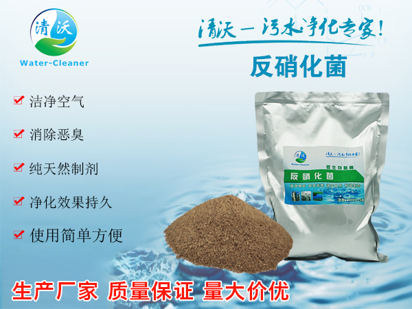 反硝化细菌在污水处理中的运用（下篇）
