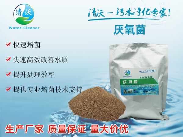 污水处理菌